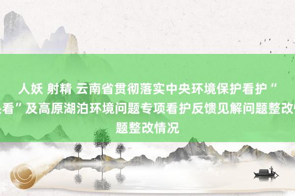 人妖 射精 云南省贯彻落实中央环境保护看护“回头看”及高原湖泊环境问题专项看护反馈见解问题整改情况