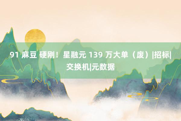 91 麻豆 硬刚！星融元 139 万大单（废）|招标|交换机|元数据