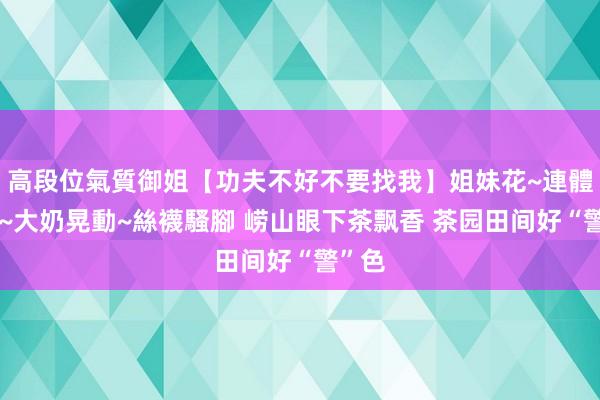 高段位氣質御姐【功夫不好不要找我】姐妹花~連體絲襪~大奶晃動~絲襪騷腳 崂山眼下茶飘香 茶园田间好“警”色