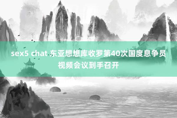 sex5 chat 东亚想想库收罗第40次国度息争员视频会议到手召开