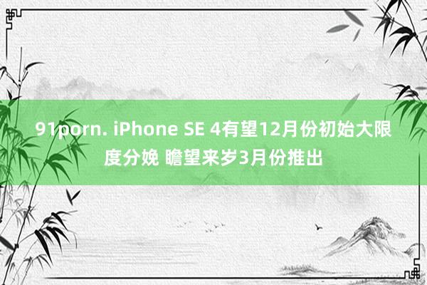 91porn. iPhone SE 4有望12月份初始大限度分娩 瞻望来岁3月份推出