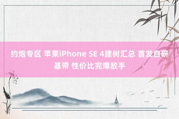 约炮专区 苹果iPhone SE 4建树汇总 首发自研基带 性价比完爆敌手