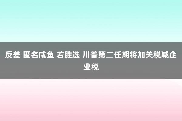 反差 匿名咸鱼 若胜选 川普第二任期将加关税减企业税