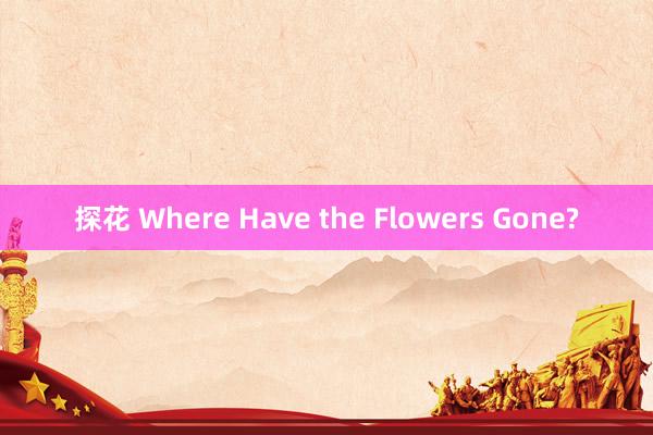 探花 Where Have the Flowers Gone?